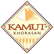 Firmenlogo